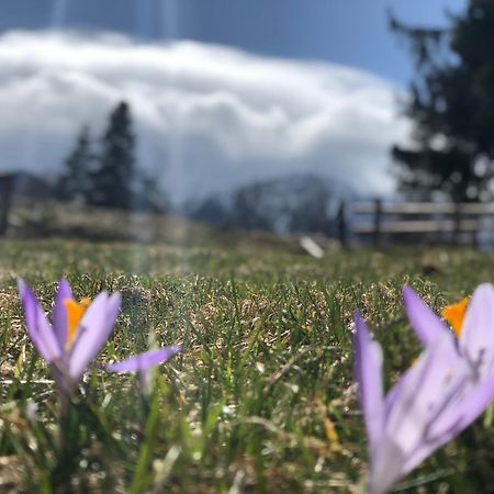 Geovita Zakopane Esterno foto