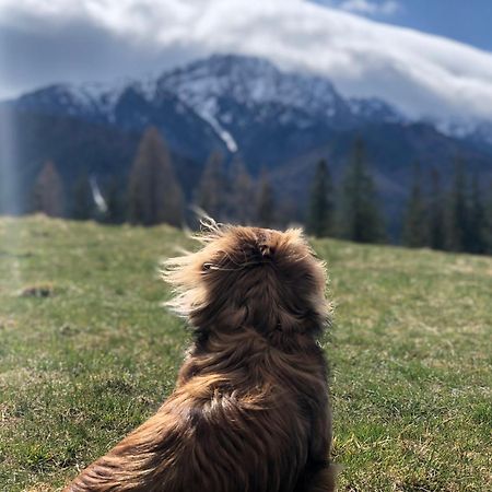Geovita Zakopane Esterno foto