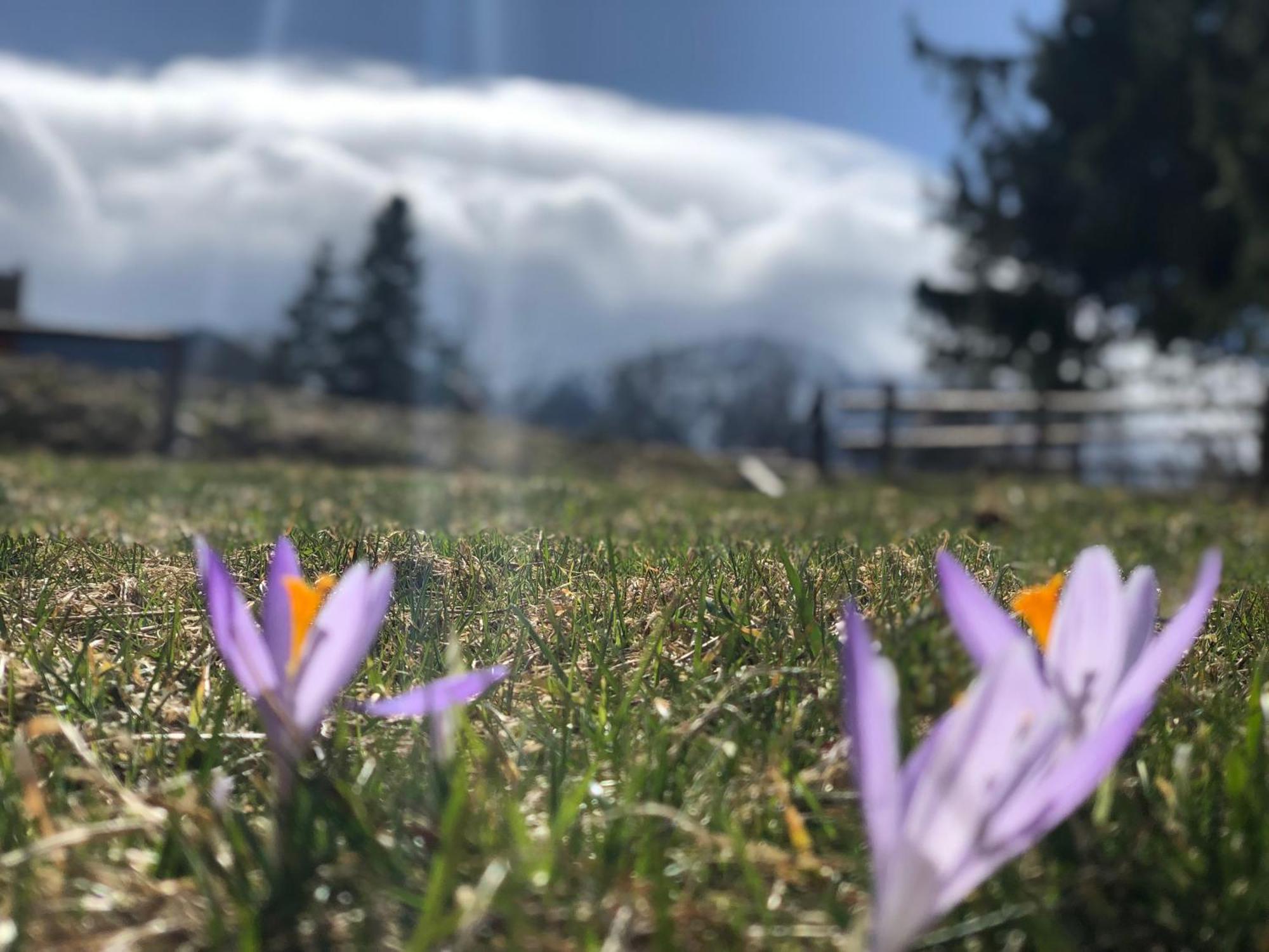 Geovita Zakopane Esterno foto