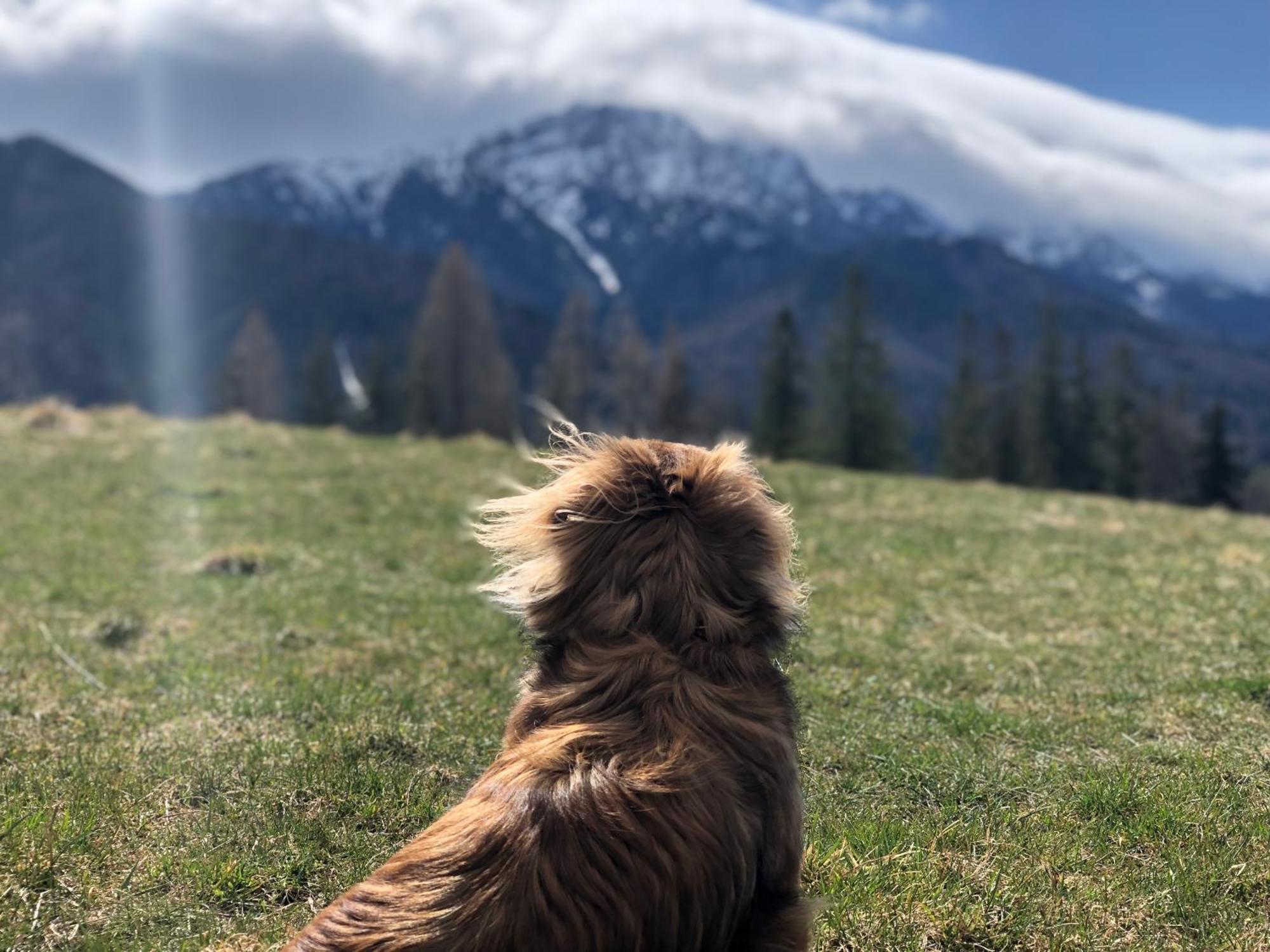 Geovita Zakopane Esterno foto